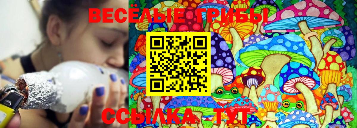 Псилоцибиновые грибы Psilocybe Бузулук